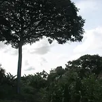Casa no 1 andar da casa principal na Chácara Canto dos Pássaros